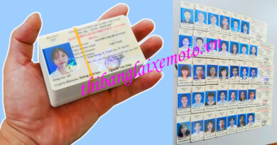 Dịch vụ cấp đổi giấy phép lái xe tại Hà Nội